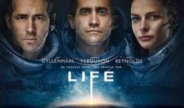 阿诺最新爆料视频大全集,视频大全集深度解析