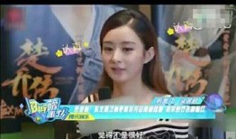 最新一集爆料全集在线观看