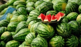 吃瓜的网红,揭秘娱乐圈幕后真相