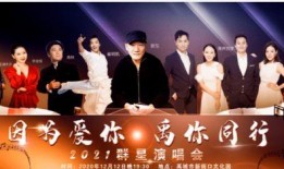 爆料禹城事件视频,真相与争议交织的悬疑事件