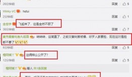 李小璐网友爆料视频大全,揭秘娱乐圈背后的真相