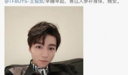 爆料直播间王俊凯视频回放,独家视频回放背后的精彩瞬间