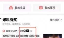 最新爆料头条格式,真相即将揭晓！