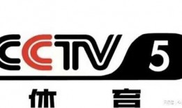 cctv4在线直播观看4,实时掌握全球资讯，畅享多元文化盛宴