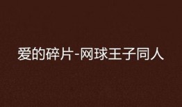 爱的碎片欧美在线观看,欧美浪漫剧情在线观影指南