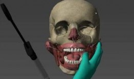 人体模型最新爆料视频,科技与艺术的完美融合