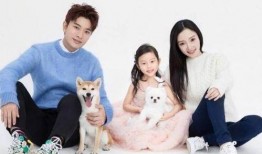 聂远爆料娱乐圈夫妻关系,真实面貌与公众形象的差距