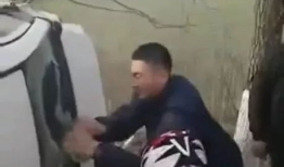 达哥现场爆料图片大全视频,图片大全视频精彩瞬间回顾