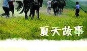 夏天的故事在线观看,在线观看夏天的故事