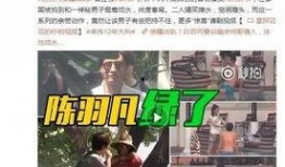 王海鸥爆料视频大全最新,揭秘娱乐圈不为人知的一面