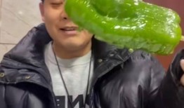 举牌网红吃瓜图片大全,盘点那些搞笑又真实的举牌瞬间