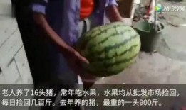 吃瓜完整版免费观看,免费观看完整版，带你领略视听盛宴