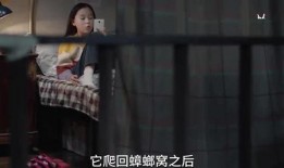 端姐被人爆料视频大全,揭秘网络爆料的真相与影响