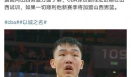 深圳男篮爆料新闻报道,揭秘球队幕后故事与争议焦点