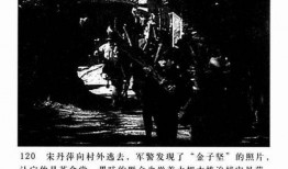老电影新风歌在线观看,重温经典，感受时代变迁