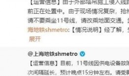 上海爆料的视频,一窥城市生活百态