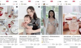 小仙儿爆料视频大全集,揭秘娱乐圈幕后真相