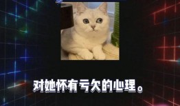 娱乐吃瓜综艺,揭秘明星幕后吃瓜大作战
