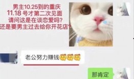 胖猫前女友爆料视频,揭秘背后惊人真相