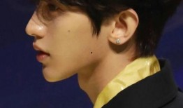 娱乐圈吃瓜全集pdf蔡徐坤,娱乐圈风云人物背后的故事