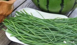 近期网红吃瓜爆料,娱乐圈最新瓜料大揭秘！