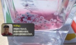 网红糖果爆料视频,爆款糖果背后的秘密大曝光！