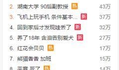 新闻爆料音乐,揭秘最新爆料背后的音乐故事