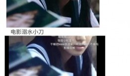 娱乐吃瓜剧组解析,吃瓜剧组背后的真相与内幕