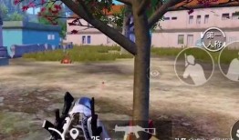 和平后续上线爆料视频,新版本爆料揭秘，精彩内容抢先看！