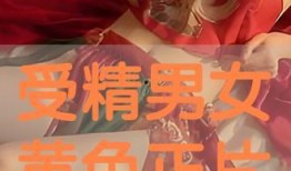 色职在线观看完整版,揭秘职场色情陷阱，完整版剧情深度解析