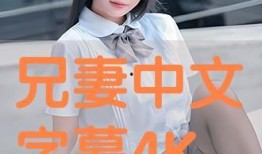 妻 字幕在线观看,揭秘婚姻生活的点点滴滴