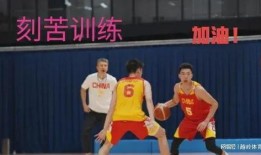 深圳男篮爆料新闻报道,揭秘球队幕后故事与争议焦点