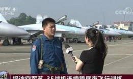 重庆飞行员爆料视频播放,揭秘飞行安全背后的真相