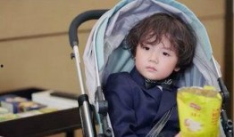 萌娃爆料老爸视频播放下载,老爸视频播放下载幕后故事