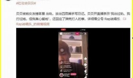 爆料老吴事件视频播放网站,视频网站播放背后的真相与争议