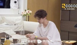 陈赫鹿晗爆料视频