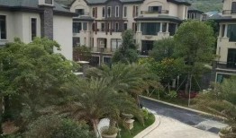 重庆跑外卖最新爆料电话,揭秘跑单爆料热线