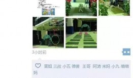 深圳湾网红爆料视频,网红打卡地背后的故事