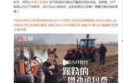 华成集团爆料新闻报道视频,揭秘新闻报道背后的真相