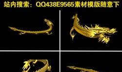 动态龙视频在线观看,沉浸式体验，畅享精彩瞬间