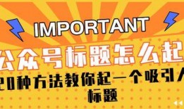 娱乐爆料标题应该怎么写,明星动向大揭秘！