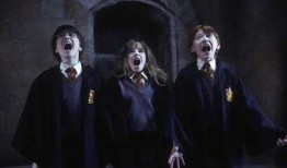 哈利最新爆料8月