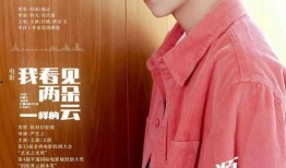 王源最新资源爆料,多领域发展全面开花