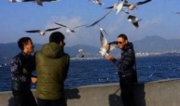 天津海鸥爆料事件真相视频,揭秘真相背后的惊人内幕