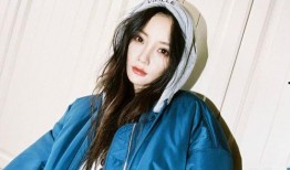 李小璐网友爆料视频大全,揭秘娱乐圈背后的真相