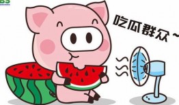 娱乐吃瓜酱英语怎么写的,Entertainment Gossips: Unveiling the English Title of 'Eating Melon Sauce'