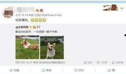 陈奕诺最新爆料截图图片,揭秘娱乐圈不为人知的秘密