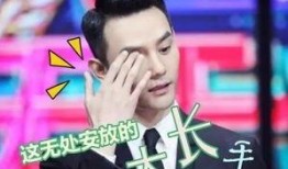 娱乐圈圈爆料王凯,娱乐圈爆料王，揭秘明星幕后故事