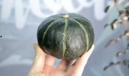 抖音网红吃葫芦瓜,葫芦瓜美食大比拼，创意吃法引网友热议