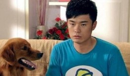 大狼狗夫妇爆料视频,揭秘娱乐圈背后的惊人真相